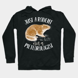 Just a rodent, not a meteorologist funny groundhog day gift Hoodie